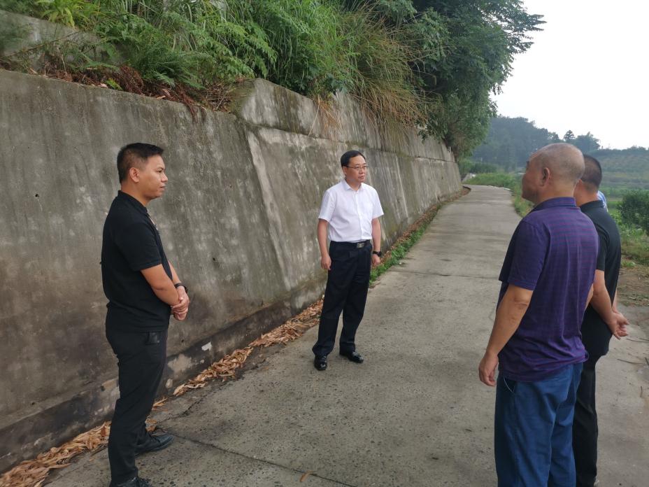 市级副林长李东武赴东坡区开展巡林工作